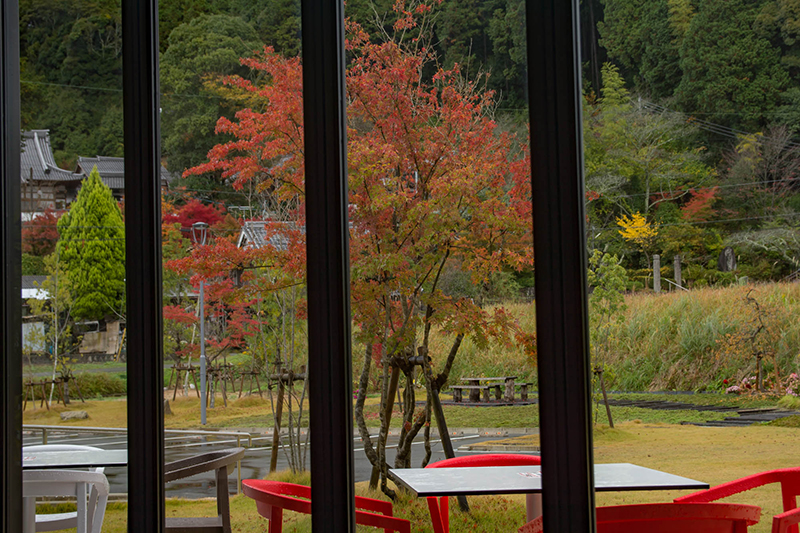 カフェから見える桂谷寺（けいこくじ）の紅葉