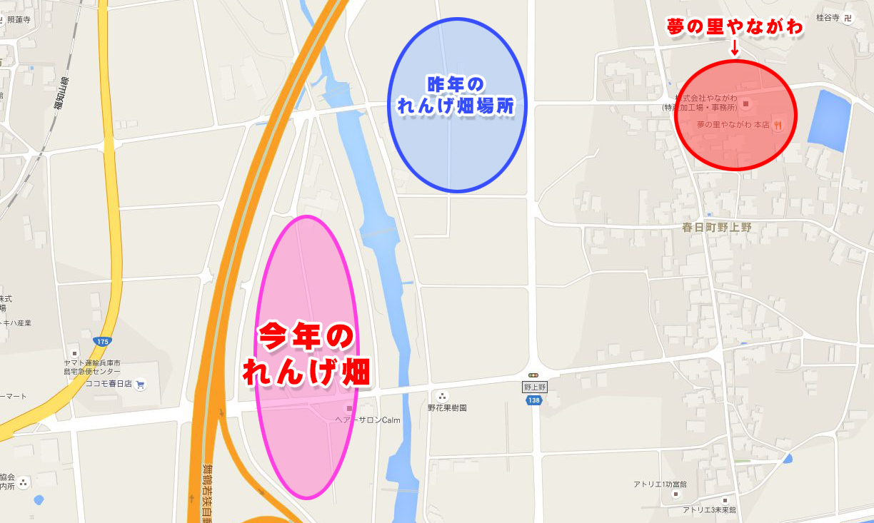 2016_れんげ祭り会場MAP